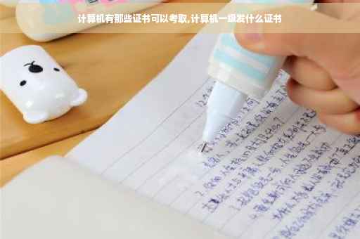 计算机有那些证书可以考取,计算机一级发什么证书