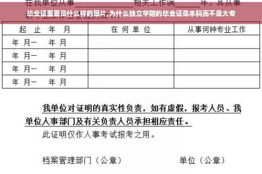 毕业证里面是什么样的图片,为什么独立学院的毕业证是本科而不是大专