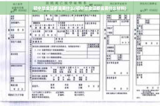 初中毕业证都需要什么(初中毕业证都需要什么材料)