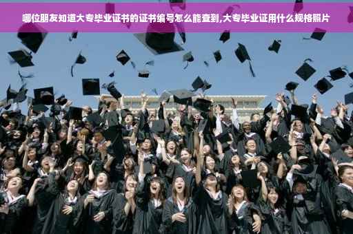 哪位朋友知道大专毕业证书的证书编号怎么能查到,大专毕业证用什么规格照片