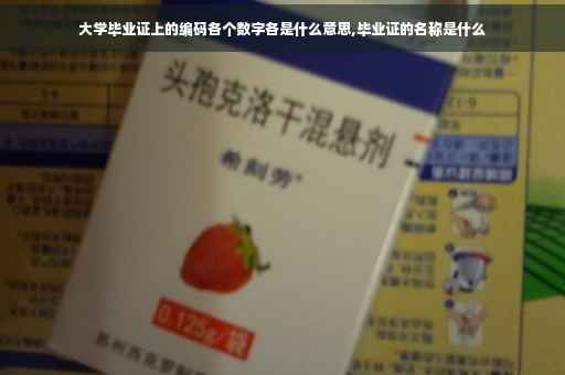 大学毕业证上的编码各个数字各是什么意思,毕业证的名称是什么