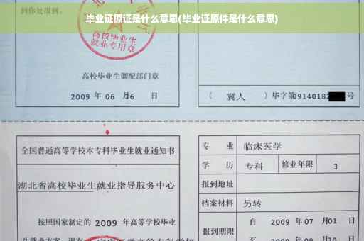 毕业证原证是什么意思(毕业证原件是什么意思)