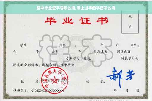 初中毕业证字号怎么填,没上过学的学历怎么填