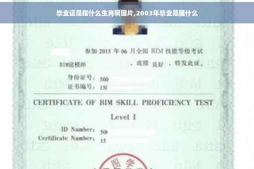 毕业证是指什么生肖啊图片,2003年毕业是属什么