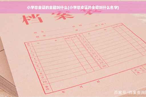 小学毕业证的全称叫什么(小学毕业证的全称叫什么名字)
