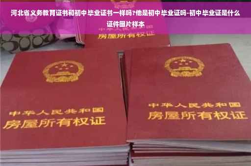 河北省义务教育证书和初中毕业证书一样吗?他是初中毕业证吗-初中毕业证是什么证件图片样本