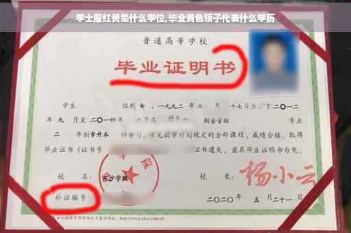 学士服红黄是什么学位,毕业黄色领子代表什么学历