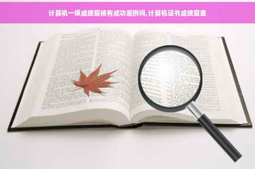 计算机一级成绩复核有成功案例吗,计算机证书成绩复查