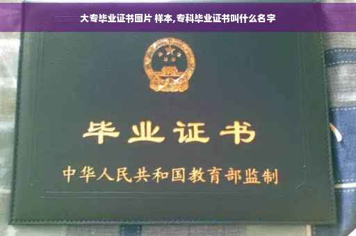 大专毕业证书图片 样本,专科毕业证书叫什么名字