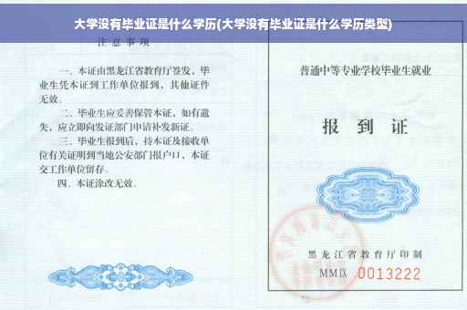 大学没有毕业证是什么学历(大学没有毕业证是什么学历类型)
