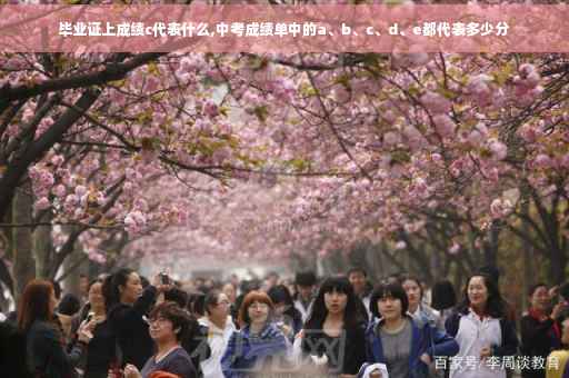 毕业证上成绩c代表什么,中考成绩单中的a、b、c、d、e都代表多少分