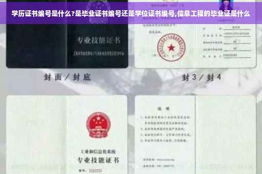 学历证书编号是什么?是毕业证书编号还是学位证书编号,信息工程的毕业证是什么