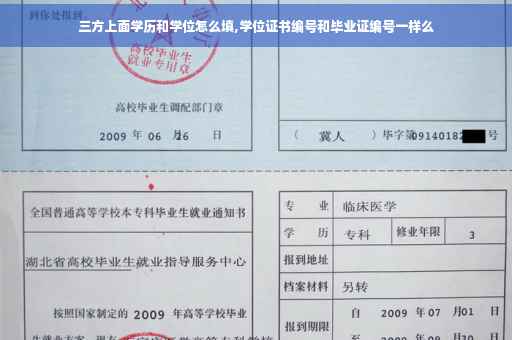 三方上面学历和学位怎么填,学位证书编号和毕业证编号一样么
