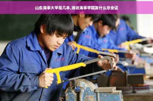 山东海事大学是几本,潍坊海事学院发什么毕业证