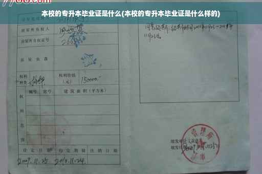 本校的专升本毕业证是什么(本校的专升本毕业证是什么样的)
