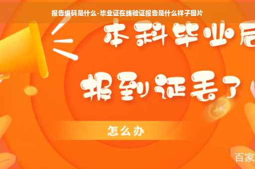 报告编码是什么-毕业证在线验证报告是什么样子图片