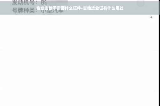专业吉他手需要什么证件-吉他毕业证有什么用处