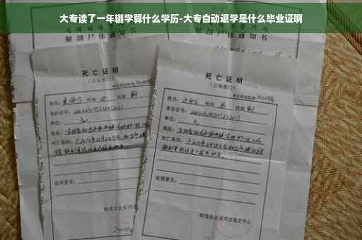 大专读了一年辍学算什么学历-大专自动退学是什么毕业证啊