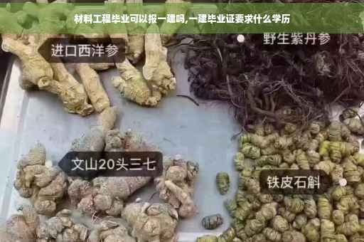 材料工程毕业可以报一建吗,一建毕业证要求什么学历