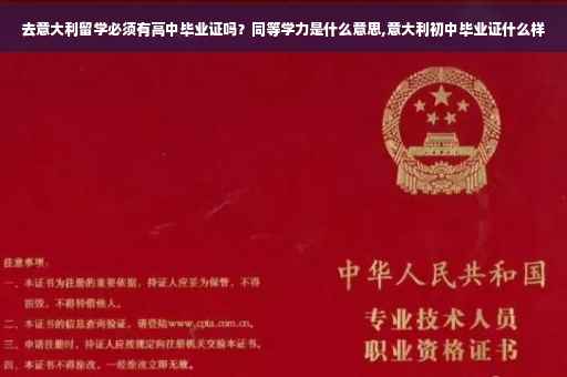 去意大利留学必须有高中毕业证吗？同等学力是什么意思,意大利初中毕业证什么样