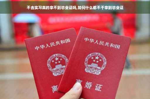 不去实习真的拿不到毕业证吗,如何什么都不干拿到毕业证
