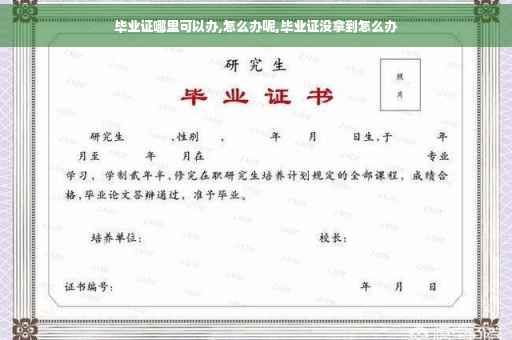 毕业证哪里可以办,怎么办呢,毕业证没拿到怎么办