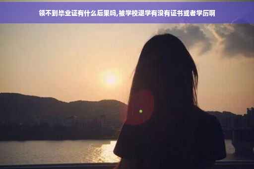 领不到毕业证有什么后果吗,被学校退学有没有证书或者学历啊
