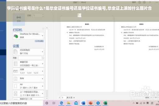 学历证书编号是什么?是毕业证书编号还是学位证书编号,毕业证上添加什么图片合适
