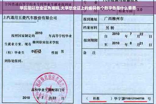 学历是以毕业证为准吗,大学毕业证上的编码各个数字各是什么意思