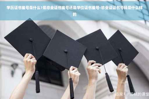 学历证书编号是什么?是毕业证书编号还是学位证书编号-毕业证证书号码是什么样的