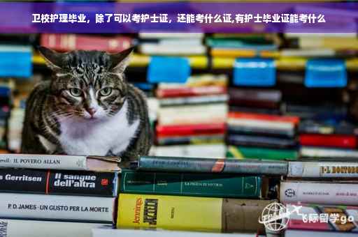 卫校护理毕业，除了可以考护士证，还能考什么证,有护士毕业证能考什么