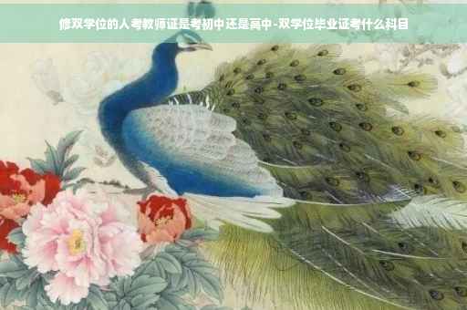 修双学位的人考教师证是考初中还是高中-双学位毕业证考什么科目