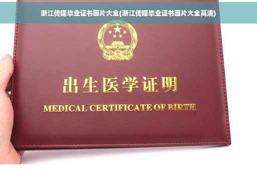 浙江传媒毕业证书图片大全(浙江传媒毕业证书图片大全高清)