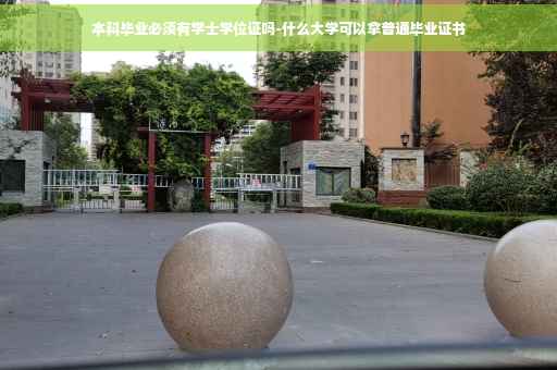 本科毕业必须有学士学位证吗-什么大学可以拿普通毕业证书