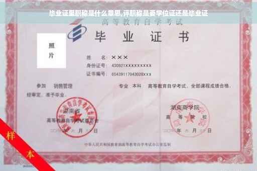 毕业证里职称是什么意思,评职称是要学位证还是毕业证