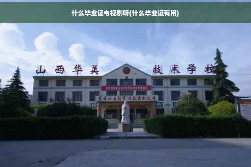 什么毕业证电视剧呀(什么毕业证有用)