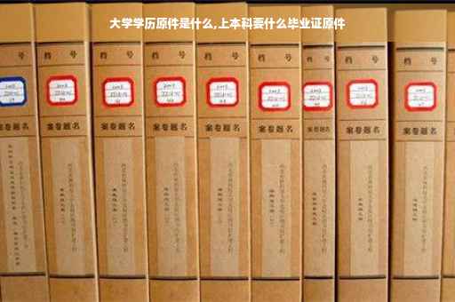 大学学历原件是什么,上本科要什么毕业证原件