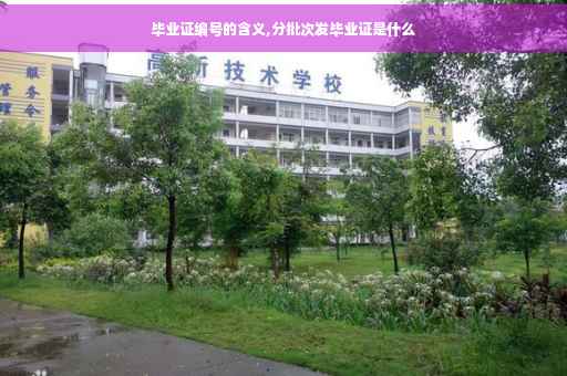 毕业证编号的含义,分批次发毕业证是什么