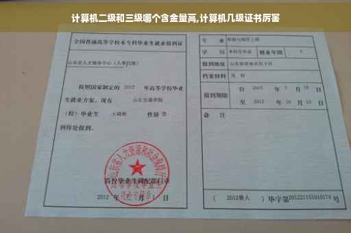 计算机二级和三级哪个含金量高,计算机几级证书厉害