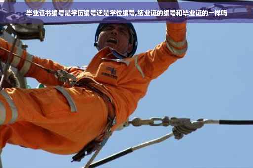 毕业证书编号是学历编号还是学位编号,结业证的编号和毕业证的一样吗