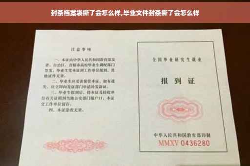 封条档案袋撕了会怎么样,毕业文件封条撕了会怎么样