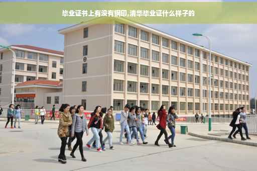 毕业证书上有没有钢印,清华毕业证什么样子的