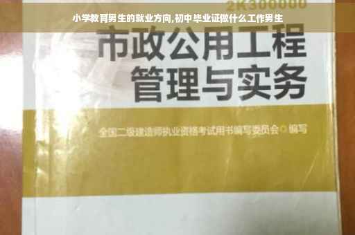 小学教育男生的就业方向,初中毕业证做什么工作男生