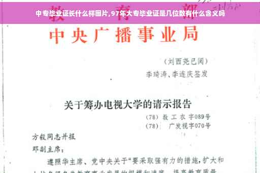 中专毕业证长什么样图片,97年大专毕业证是几位数有什么含义吗
