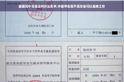 德国高中毕业证叫什么名字,中德学生是不是毕业可以直接工作