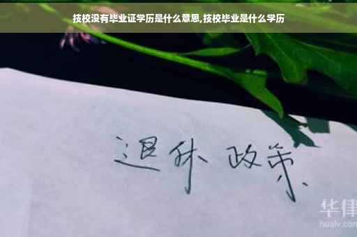 技校没有毕业证学历是什么意思,技校毕业是什么学历