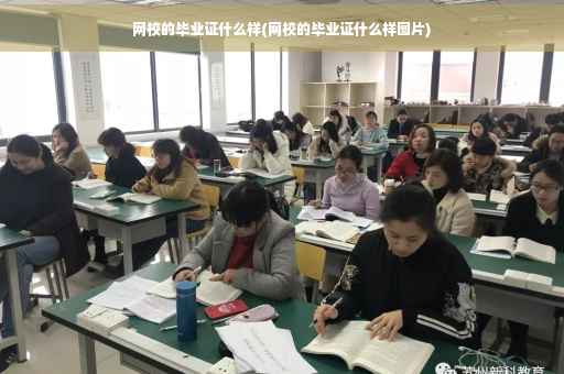 网校的毕业证什么样(网校的毕业证什么样图片)