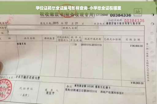 学位证和毕业证编号怎样查询-小学毕业证在哪里