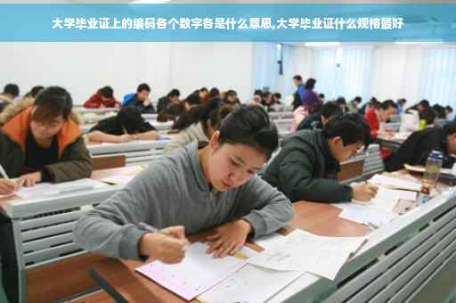 大学毕业证上的编码各个数字各是什么意思,大学毕业证什么规格最好