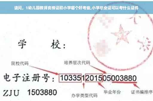 请问，1幼儿园教师资格证和小学哪个好考些,小学毕业证可以考什么证件